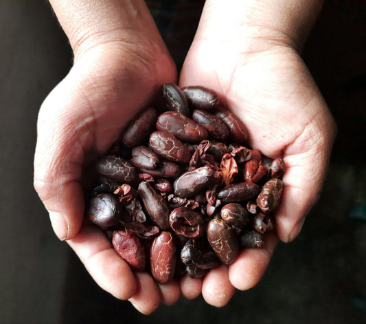 Cacao