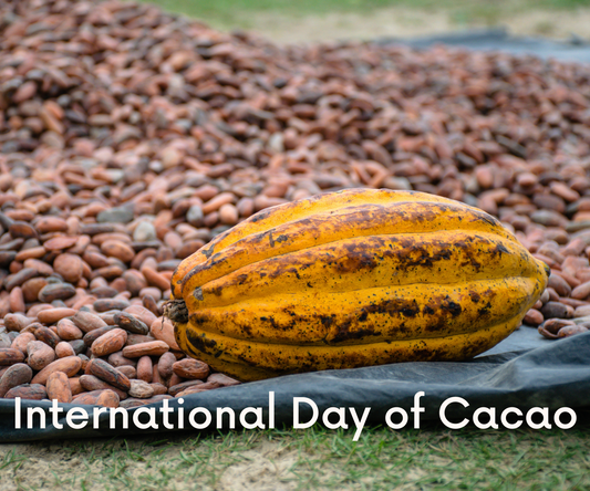 Discover the divine origins of cocoa, the key to heavenly chocolate. Join the celebration on July 7th for World Cocoa Day and share the love with #CocoaDay.