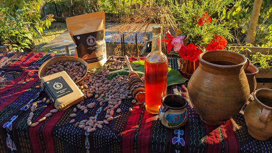 image of the elements for a cacao ceremony all set together on a mayan hand woven textile that lays in the grass on a morning vibe and vivid color, the image includes spices and honey as sweetener.