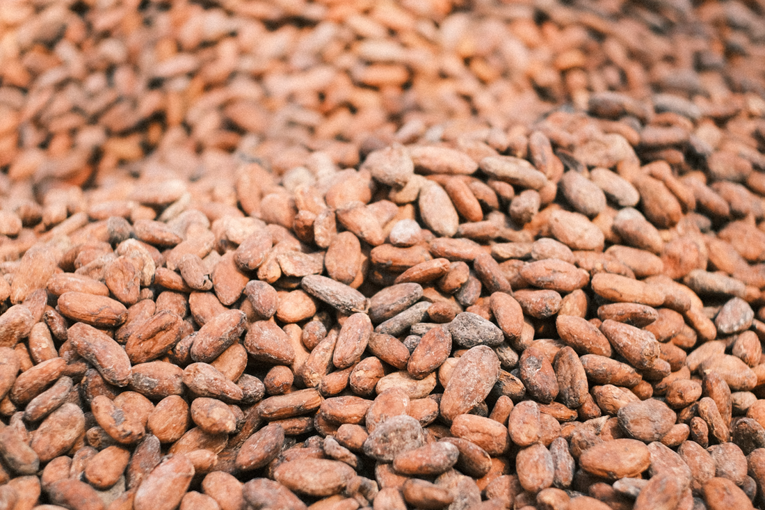 Honoring the Hands That Make It Possible, Ceremonial Cacao Fair-Trade Center