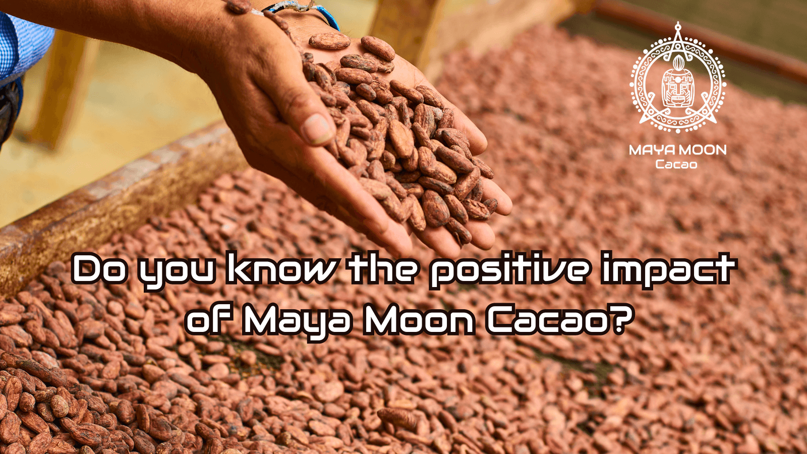 Do you know the positive impact of Maya Moon Cacao?