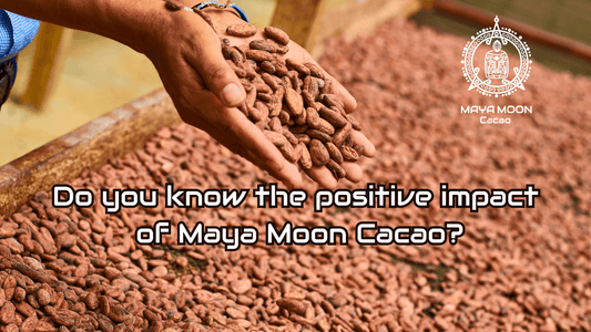 Direct trade cacao from bean to bar ceremonial grade