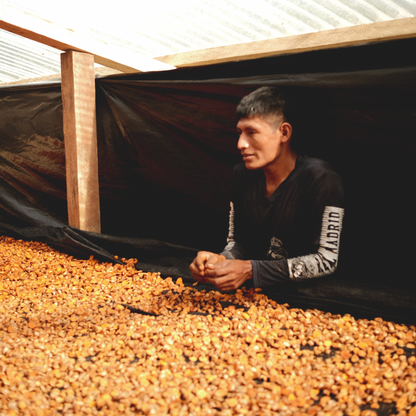 Turmeric and spices being poured into mixer – small-batch production of Maya Moon Golden Milk