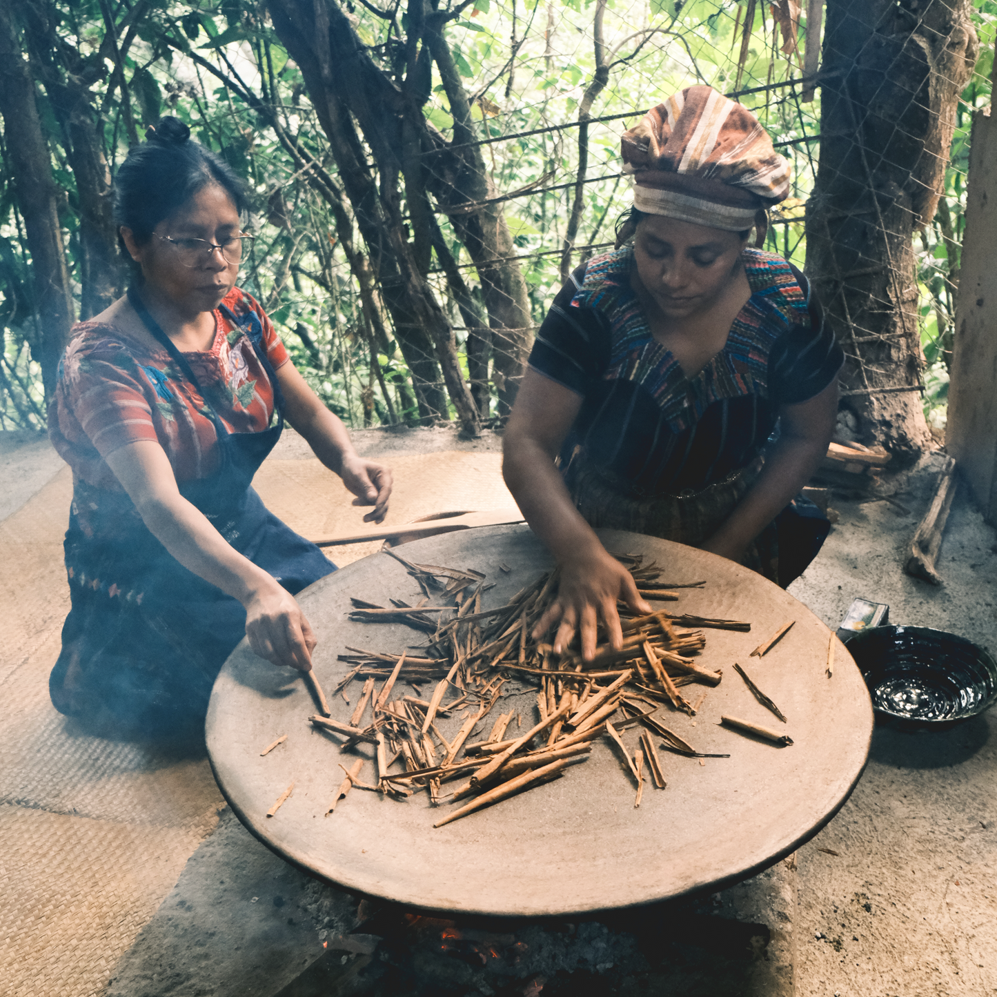 Guatemalan woman roasting turmeric roots under sunlight – traditional Golden Milk ingredient preparation